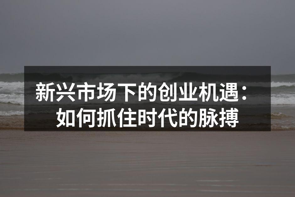 新兴市场下的创业机遇：如何抓住时代的脉搏