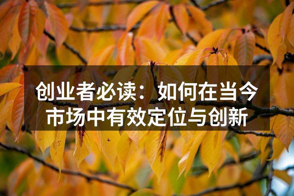创业者必读：如何在当今市场中有效定位与创新